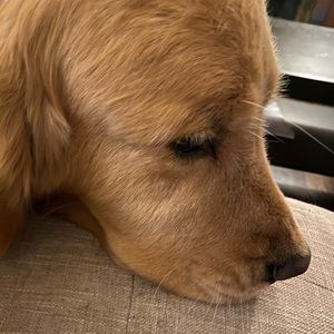 Meet your Posher, Sally